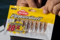 Berkley Powerbait 2″ Shrimp Plastics -Fishing Gear Shop 0K6A1370 1