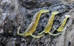 Berkley Powerbait 2″ Shrimp Plastics -Fishing Gear Shop 0K6A4408 1