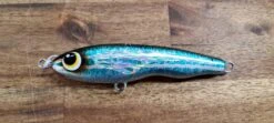 ASWB SS-80 Slow Sinking Stickbait -Fishing Gear Shop 20220504 112944 scaled 1