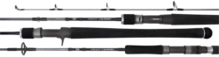 Daiwa TD Saltwater Rod