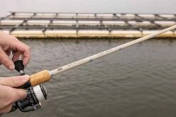 Abu Garcia Rayrex II Rods -Fishing Gear Shop 306506324 2449028655263500 8649348667103519090 n