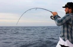 DEMERSAL EXPLORER OVERHEAD LIGHT JIGGING