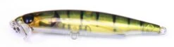 Bassday Beat Eat 47mm -Fishing Gear Shop BEAT47 HF249 scaled 1
