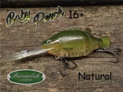 BARAMBAH LURES BABY PERCH 16’+ -Fishing Gear Shop Baby Perch 16 Natural Web Pic 1024x1024