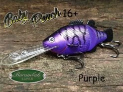BARAMBAH LURES BABY PERCH 16’+ -Fishing Gear Shop Baby Perch 16 Purple Web Pic 1024x1024