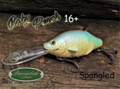 BARAMBAH LURES BABY PERCH 16’+ -Fishing Gear Shop Baby Perch 16 Spangled Web Pic 1024x1024