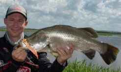 BERKLEY WEEDLESS SHIMMA SHRIMP 100MM 11 BERKLEY WEEDLESS SHIMMA SHRIMP 100MM -Fishing Gear Shop Berkley Lifestyle Shimma Shrimp Weedless Barramundi 2021 Alt2 1