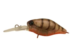 JACKALL CHUBBY 38 SUPER DEEP -Fishing Gear Shop Brown Suji Shrimp