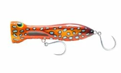Nomad Chug Norris Popper 120mm -Fishing Gear Shop CHUG120 CORALTROUT
