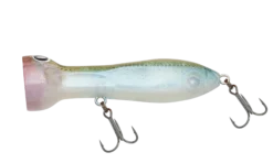 Nomad Chug Norris Popper 50mm