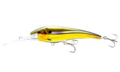 Nomad DTX Minnow Floating 100mm -Fishing Gear Shop DTX100 F GBGOLDBUSTER