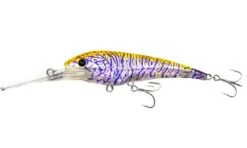 Nomad DTX Minnow Floating 100mm -Fishing Gear Shop DTX100 F HPSRHOLOGRAPHICPURPLESHRIMP