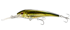 Nomad DTX Minnow Floating 100mm -Fishing Gear Shop DTX100 F OBS