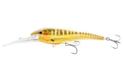 Nomad DTX Minnow Floating 140mm -Fishing Gear Shop DTX140 F GGGOLDGLOW