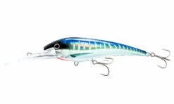 Nomad DTX Minnow Floating 140mm -Fishing Gear Shop DTX140 F SMSPANISHMACKEREL