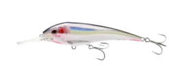 Nomad DTX Minnow Shallow Floating 145mm 20 Nomad DTX Minnow Shallow Floating 145mm -Fishing Gear Shop DTX145 F BM