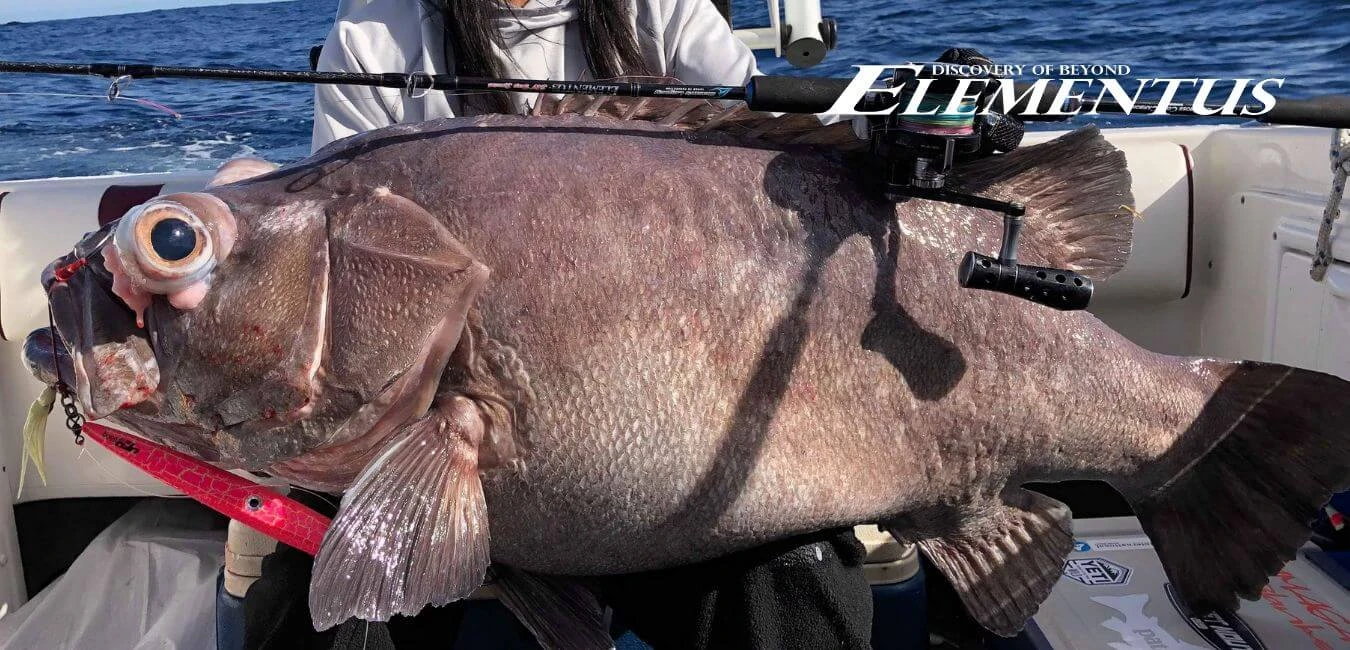 Ocean’s Legacy Elementus Rods 2 Ocean’s Legacy Elementus Rods - Image 2