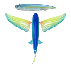 Nomad Slipstream Flying Fish 140mm -Fishing Gear Shop FF140 FP AHIG