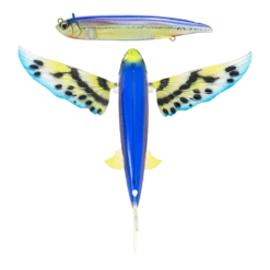 Nomad Slipstream Flying Fish 140mm -Fishing Gear Shop FF140 FP BFLY
