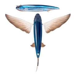 Nomad Slipstream Flying Fish 140mm -Fishing Gear Shop FF140 FP OC