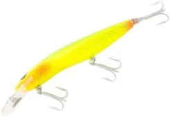 RMG SCORPION 125 XDD 8M 25 RMG SCORPION 125 XDD 8M -Fishing Gear Shop FL GREEN