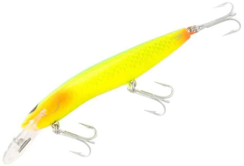 RMG SCORPION 125 XDD 8M 10 RMG SCORPION 125 XDD 8M - Image 10