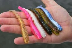 Front Page -Fishing Gear Shop Fan Tail Shrimp Lifestyle Image 2