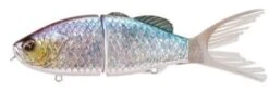 Shimano Bantam BT Scraptor 182mm Lure -Fishing Gear Shop Gizzard Shad