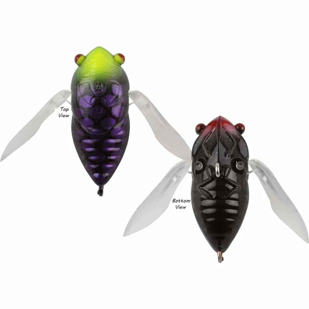 ATOMIC HARDZ 35MM CICADA LURE 9 ATOMIC HARDZ 35MM CICADA LURE - Image 9