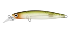 Daiwa Infeet Sazanami 60SP Lure -Fishing Gear Shop Infeet Sazanami 0003 DAIWA INFEET SAZANAMI SHALLOW MINNOW GHOST AYU 1080x