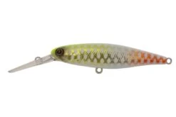 JACKALL DD SQUIRREL 67SP SILENT -Fishing Gear Shop Jackall Squirrel 67 Albino Chart P 1