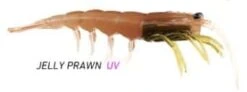 Prolure Clone Prawn 120mm Plastics -Fishing Gear Shop Jelly Prawn 2