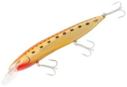 RMG SCORPION 125 XDD 8M 24 RMG SCORPION 125 XDD 8M -Fishing Gear Shop KING BROWN 1 1