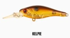 Berkley Pro-Tech Twitcher 45mm Lure -Fishing Gear Shop Kelpie