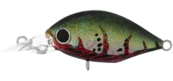 Daiwa Infeet Rollin’ Crank MR Lure -Fishing Gear Shop Lure Template 0000s 0003 DAIWA ROLLING CRANK MR RED CRAB 1080x