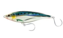 Nomad Madscad 115mm Sinking Stickbait -Fishing Gear Shop MADSCAD115 SARSARDINE