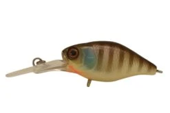 JACKALL MEDIUM CHUBBY 38MM -Fishing Gear Shop Noike Gill 1