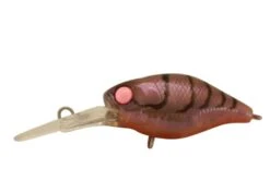 JACKALL MEDIUM CHUBBY 38MM -Fishing Gear Shop Pink Eye Shrimp