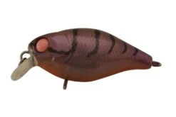 JACKALL CHUBBY SHALLOW 38MM