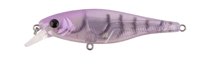 Berkley Shimma Shrimp 65mm 8 Berkley Shimma Shrimp 65mm - Image 8