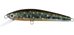 Daiwa Presso Minnow 60F Lure -Fishing Gear Shop Presso Minnow 60F BrookeTrout 1080x