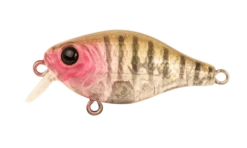 Berkley Pro-Tech Brimz 38mm Shallow Crank Lure -Fishing Gear Shop ProTech Brimz 38 S Gauge