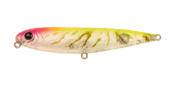 Berkley Pro-Tech Slurp 65mm Lure -Fishing Gear Shop ProTech Slurp 85mm Peach Face 1