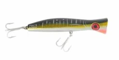 Halco Roosta Popper 195mm -Fishing Gear Shop RP195H71.png