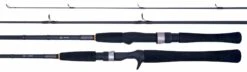 Daiwa RZ Rod