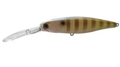 Jackall Squirell 79mm Hank Tune Silent DD -Fishing Gear Shop SK PEARL MAGIC