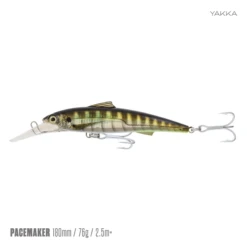 SAMAKI PACEMAKER 180 D
