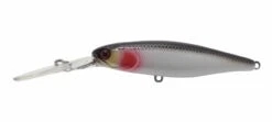 Jackall Squirell 79mm Hank Tune Silent DD -Fishing Gear Shop Squirrel 79 Boney