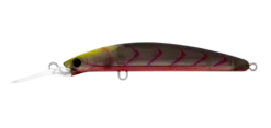Daiwa Double Clutch 115SP ‘Barra Tune’ Lure -Fishing Gear Shop Suji Berry