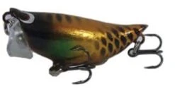 Front Page -Fishing Gear Shop Xmas Beetle